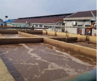 出水氨氮大于進(jìn)水氨氮，怎么回事？