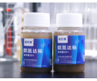 生化系統(tǒng)崩潰，氨氮超標，我該怎么辦?