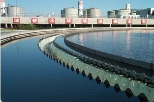 反硝化浮泥該如何預防？你知道嗎？