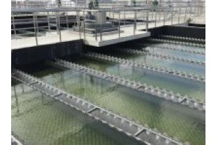 【干貨】有機(jī)物導(dǎo)致的氨氮超標(biāo)?這種情況該如何處理呢？