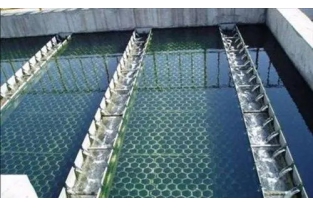 【干貨】生物濾池為什么一受沖擊氨氮去除率就會(huì)下降？