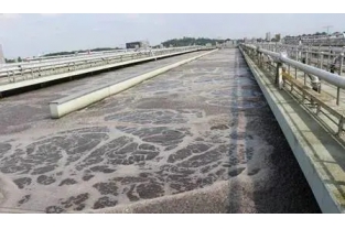 【重要】水中溶解氧越高，處理效果越好么？
