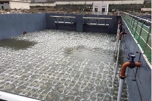 碳源的價格水漲船高，污水廠如何減少碳源投加量來降低成本？