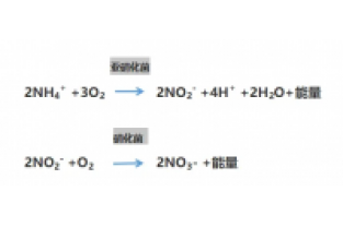 食品廢水氨氮超標(biāo)，你可以這么做