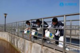 碳氮比失調，總氮超標怎么辦