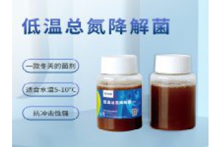 反硝化細菌在污水處理中的具體應用是什么？