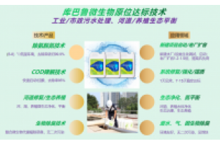 什么是氨氮激活菌，有什么作用