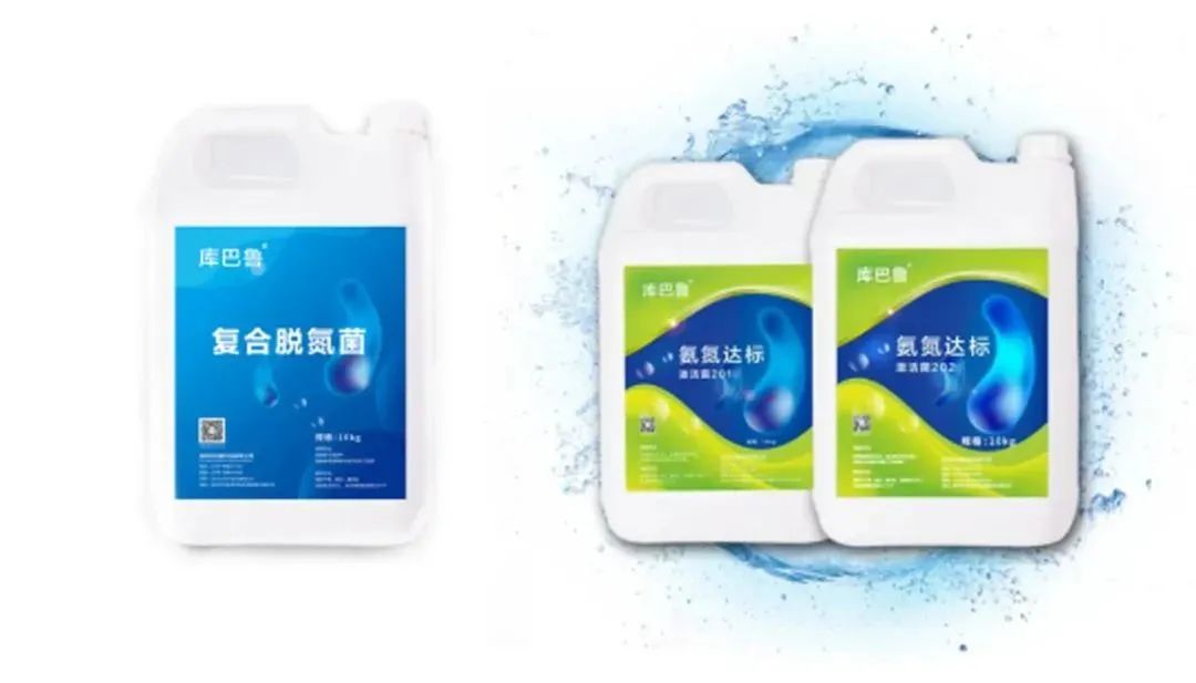 庫巴魯脫氮菌